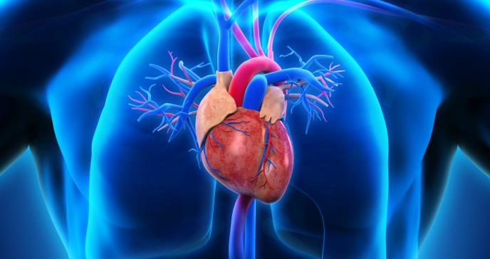 Todo lo que debes saber del fallo cardíaco congestivo