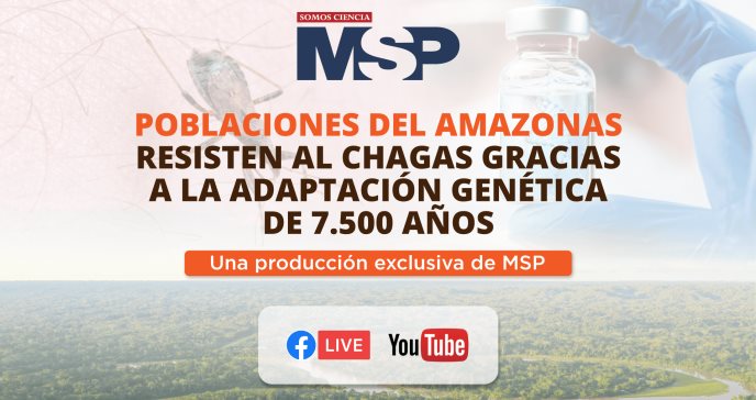 Poblaciones del amazonas resisten al Chagas gracias a la adaptación genética - #ExclusivoMSP