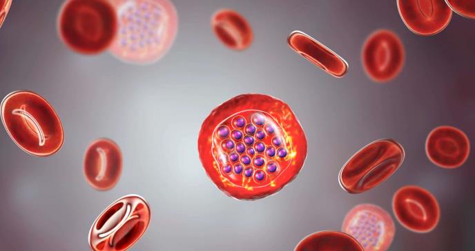 Filtración para-valvular ocasionaría la destrucción de los glóbulos rojos