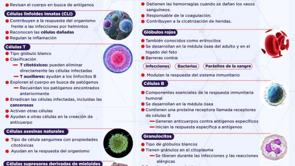 células del sistema inmunológico