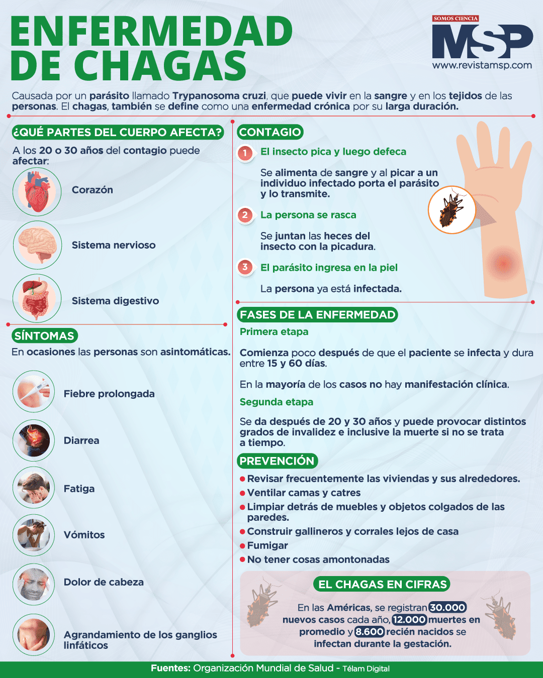 Enfermedad De Chagas - Infografía