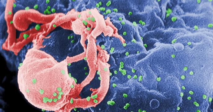 Investigación destaca vínculo entre la familia y el riesgo de VIH en hombres hispanos
