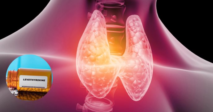 La EMA revela hallazgos sobre la interacción entre biotina y levotiroxina en tratamiento de la tiroides