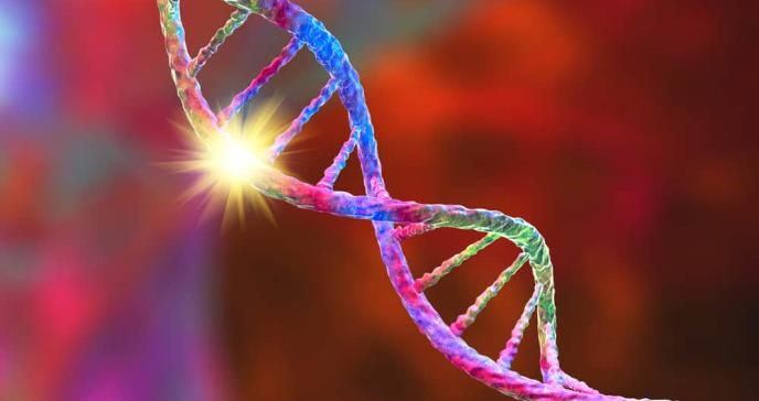 Mutación genética abre avances en el desarrollo de fármacos en el tratamiento de dolor y cicatrización