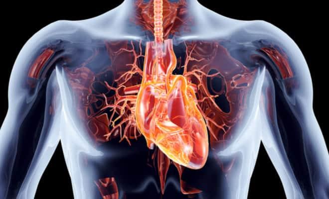 Síndrome coronario agudo: prevalente y preocupante trastorno