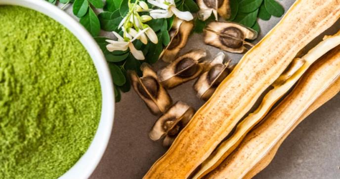 Propiedades curativas y potencial terapéutico de la Moringa en el tratamiento del cáncer