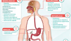 Causas de las náuseas y el vómito | Infografía