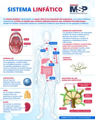 Noticias - Medicina Y Salud Pública