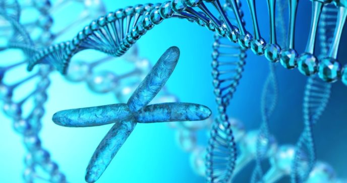 Descubren nueva enfermedad minoritaria asociada a mutación en el gen DOCK11