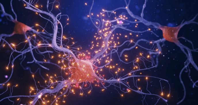 Descubren cómo se produce la muerte de las neuronas en la enfermedad de Alzheimer