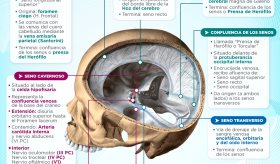 Mutualser eps - El manejo adecuado del dolor crónico requiere de un  abordaje integral y multidisciplinario. La terapia debe ser siempre aliviar el  dolor, mantener la funcionalidad tanto física como mental de