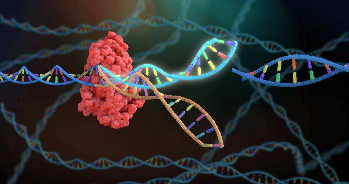Aprueban tratamiento con edición genética CRISPR para la anemia de células falciformes