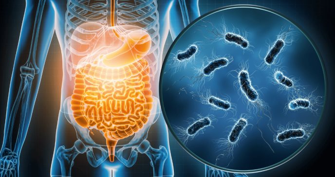 De virus a parásitos: conozca los factores culpables de la gastroenteritis y su impacto en la salud
