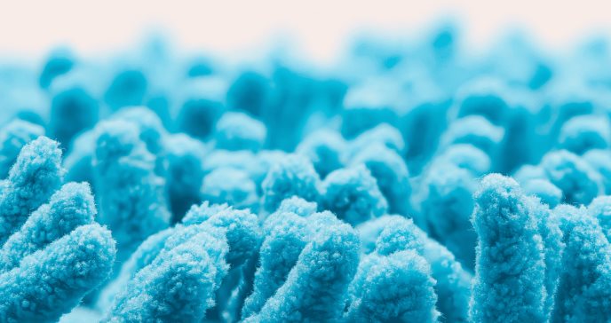 Descubren nueva clase de viroides ´obeliscos´ en intestino y boca que influyen en genética del microbioma