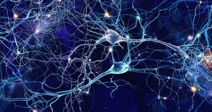Descubrimiento en la lucha contra el Alzhéimer: Terapia para reparar conexiones neuronales dañadas