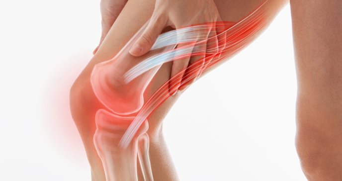 ¿Por qué el tamaño del menisco influye en el dolor de rodilla de algunas personas?