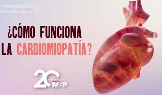 Signos De La Fibrilación Atrial Desde Optimiza Tu Salud Cardiovascular