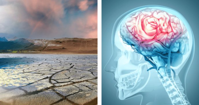 Cambio climático y temperaturas extremas aumentan infartos y accidentes cerebrovasculares, según estudio