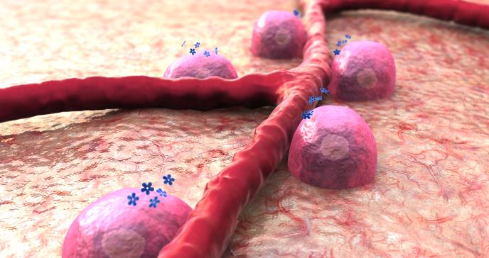 Mutación genética en hermanos abre vía para investigar fármacos dirigidos contra diabetes autoinmune