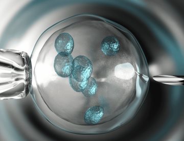 ¿Embrión creado con ADN celular de piel y espermatozoide permitiría la procreación de hijos entre 2 hombres?