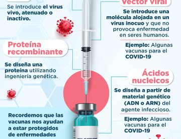 4 tipos de vacunas | Infografía