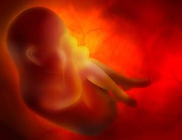 Cada embarazo acelera el proceso del envejecimiento celular en las mujeres 