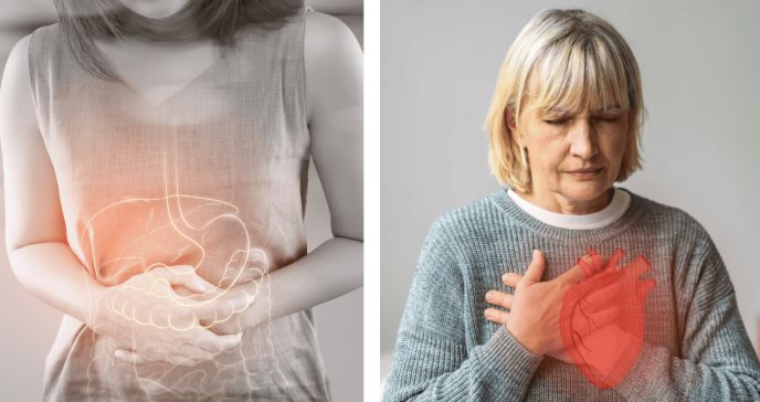 ¿Cuál es el vínculo entre el síndrome del intestino irritable y enfermedades cardiovasculares?
