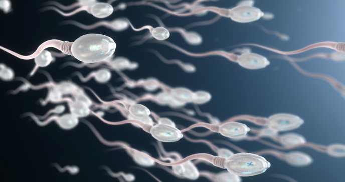 Hidrogel inyectable en el escroto e inhibidor de proteína: nuevos potenciales anticonceptivos masculinos