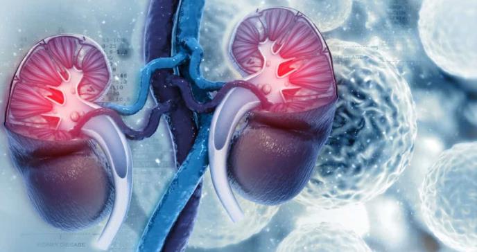 Autoanticuerpos antinefrina: Descubren nuevo biomarcador para enfermedades renales y síndrome nefrótico