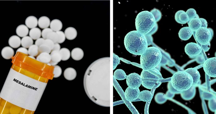 Fármaco podría reemplazar a las bacterias beneficiosas en la lucha contra el hongo Candida Albicans